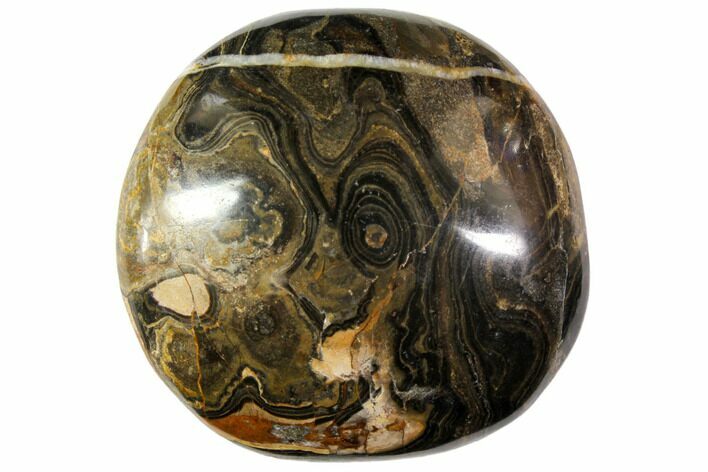 Polished Stromatolite (Greysonia) Pebble - Bolivia #113514